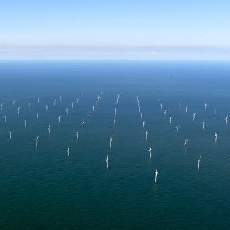 Rampion